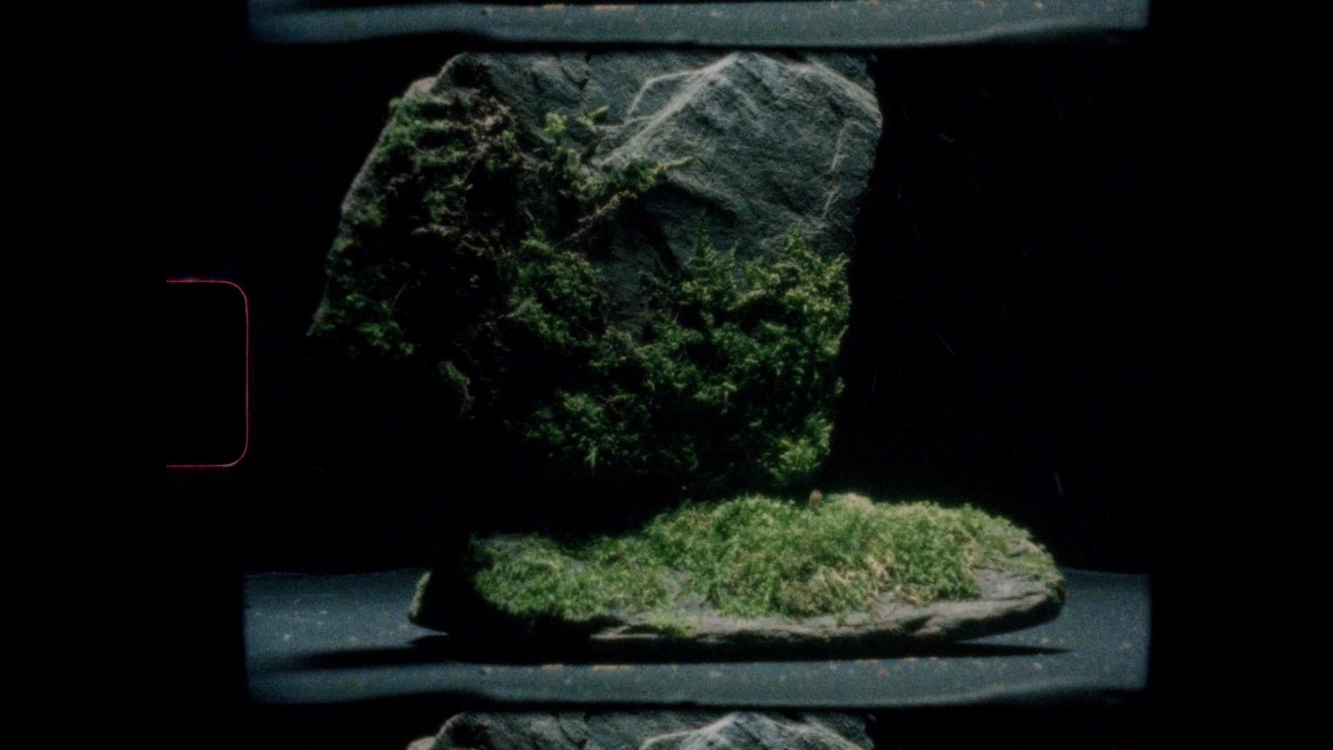 Massimo Dutti "Fragrancies 25" Featured still