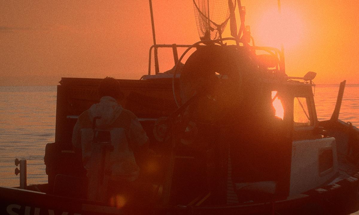 Note in tempesta – Still 2