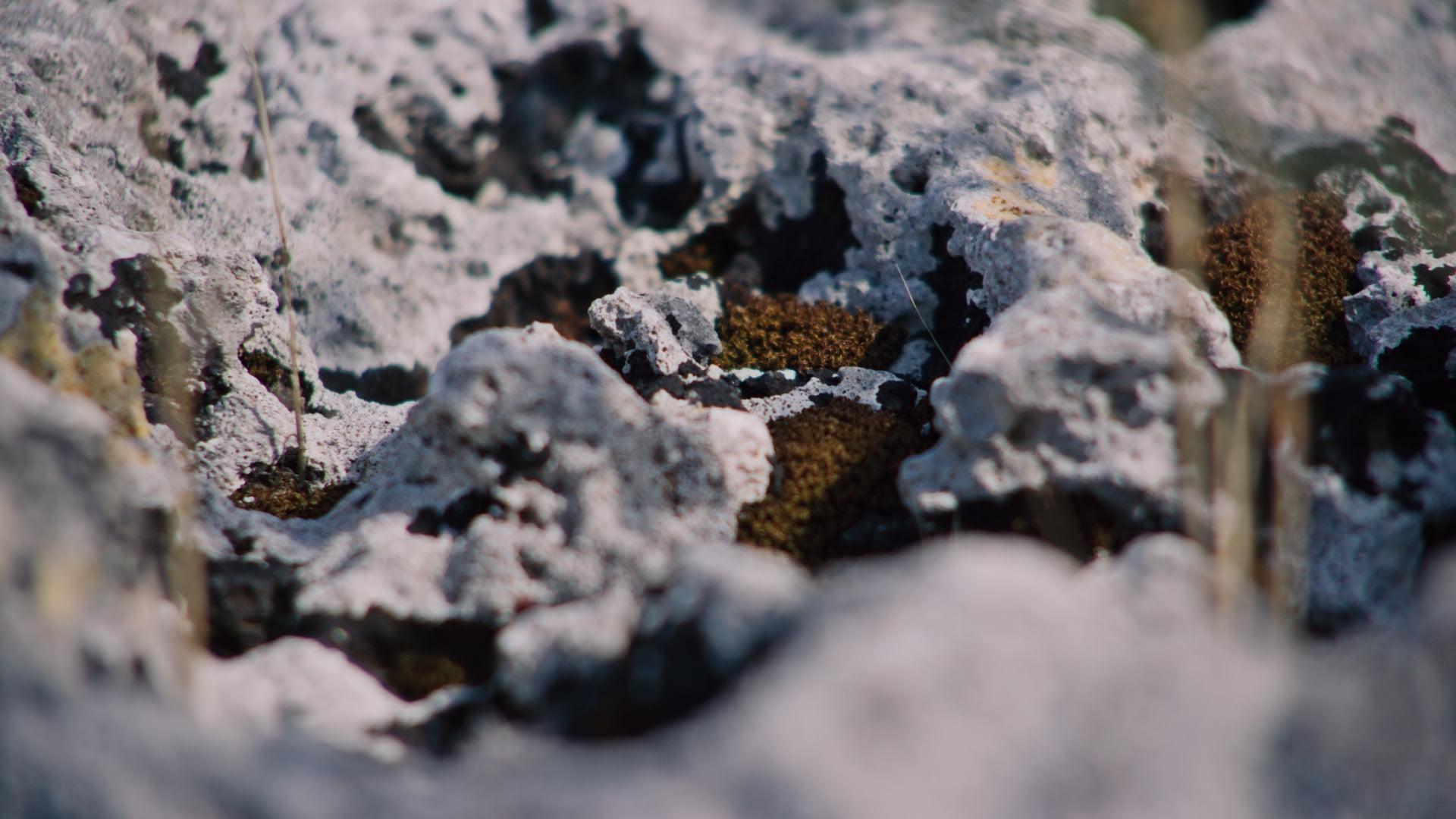 Materia - "Rebirth" – Still 8