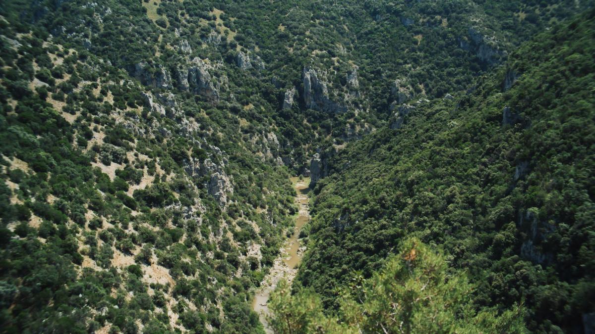 Materia - "Rebirth" – Still 9