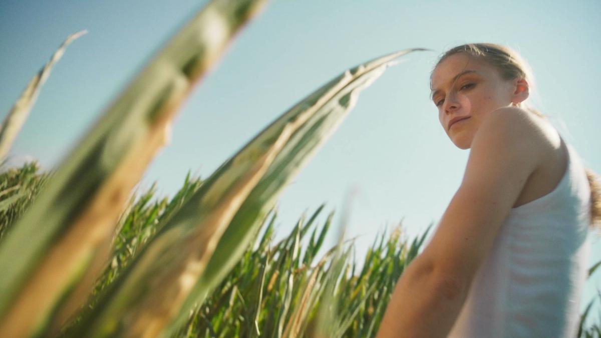 Standard Chill – Still 1