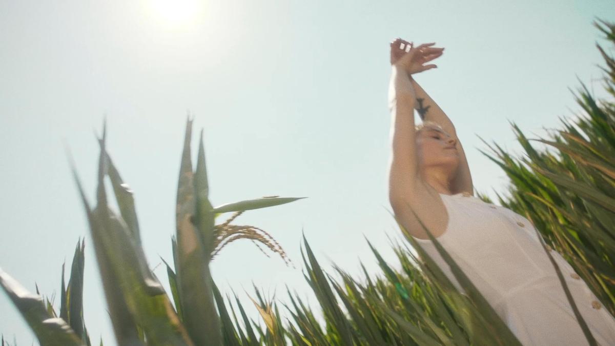 Standard Chill – Still 3