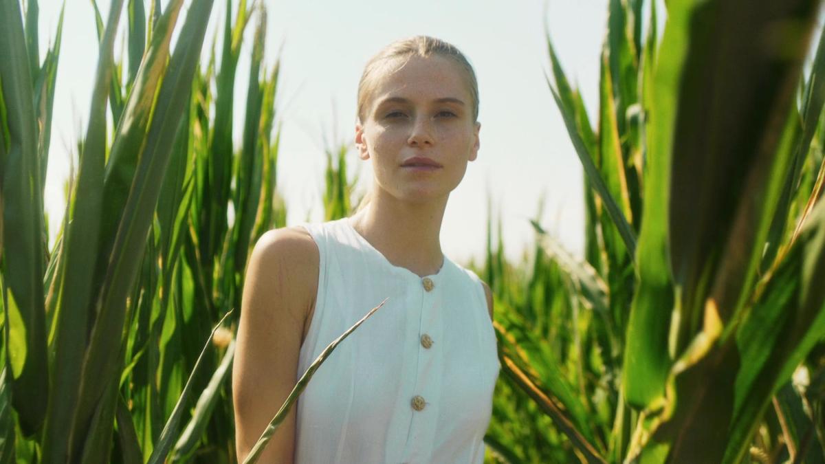 Standard Chill – Still 4