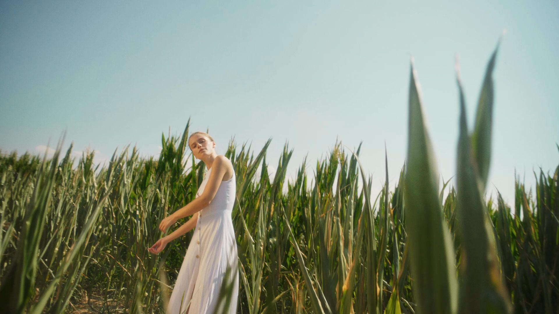 Standard Chill – Still 5